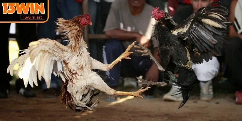 Chờ thời điểm “hạ kèo”