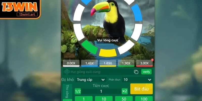 circle bi quyet thanh cong Bí quyết thành công khi chơi Circle