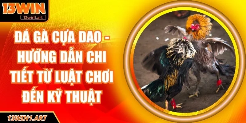 đá gà cựa dao